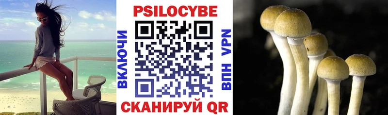 Псилоцибиновые грибы Cubensis  omg вход  Борзя 